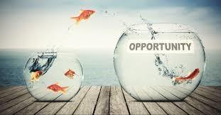 Opportunity fish 2 